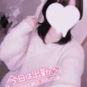 うさ うさ🤍出勤です🐰 バイオレンス