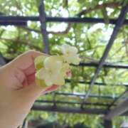 ヒメ日記 2025/10/23 16:28 投稿 ツムギ LOVE(小名浜)