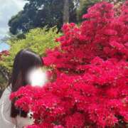 ヒメ日記 2025/11/04 05:20 投稿 ツムギ LOVE(小名浜)