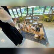 ヒメ日記 2025/11/10 20:37 投稿 ツムギ LOVE(小名浜)