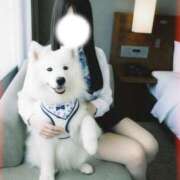 ヒメ日記 2025/11/15 22:54 投稿 ツムギ LOVE(小名浜)