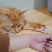 ヒメ日記 2025/11/16 22:01 投稿 ツムギ LOVE(小名浜)