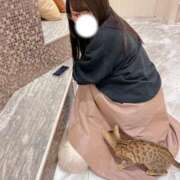 ヒメ日記 2025/11/29 19:21 投稿 ツムギ LOVE(小名浜)