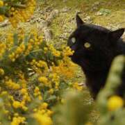 ヒメ日記 2026/03/12 22:41 投稿 ツムギ LOVE(小名浜)