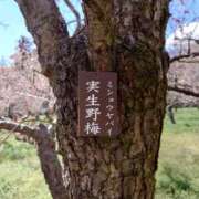 ヒメ日記 2026/03/13 23:23 投稿 ツムギ LOVE(小名浜)