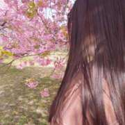 ヒメ日記 2026/03/15 15:16 投稿 ツムギ LOVE(小名浜)