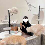 ヒメ日記 2026/03/19 22:31 投稿 ツムギ LOVE(小名浜)