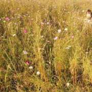 ヒメ日記 2026/03/21 08:17 投稿 ツムギ LOVE(小名浜)