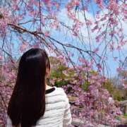 ヒメ日記 2026/04/26 10:11 投稿 ツムギ LOVE(小名浜)