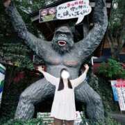 ヒメ日記 2026/05/29 06:28 投稿 ツムギ LOVE(小名浜)