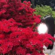 ヒメ日記 2026/05/29 17:33 投稿 ツムギ LOVE(小名浜)