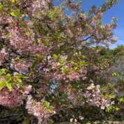 めのう 19時までお部屋います🌸 Spa Allure（スパアリュール）