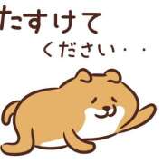 ヒメ日記 2026/04/09 17:56 投稿 アクア LOVE(小名浜)