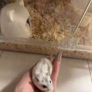 ヒメ日記 2026/05/02 20:14 投稿 アクア LOVE(小名浜)