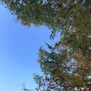 ヒメ日記 2025/11/03 15:25 投稿 藤森　なお 川崎南町人妻高級ソープ エル・カーヒル(ELCURHIL)秘密の刻