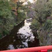 ヒメ日記 2025/11/22 09:06 投稿 藤森　なお 川崎南町人妻高級ソープ エル・カーヒル(ELCURHIL)秘密の刻