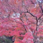 ヒメ日記 2025/12/10 15:01 投稿 藤森　なお 川崎南町人妻高級ソープ エル・カーヒル(ELCURHIL)秘密の刻