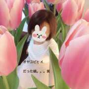 ヒメ日記 2026/05/31 17:27 投稿 ゆりな 奥鉄オクテツ神奈川店（デリヘル市場グループ）
