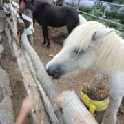 ヒメ日記 2025/10/27 20:56 投稿 みりか 熟女＆人妻＆ぽっちゃり倶楽部