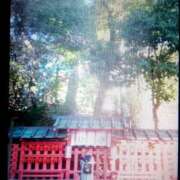 ヒメ日記 2025/12/19 18:20 投稿 みりか 熟女＆人妻＆ぽっちゃり倶楽部