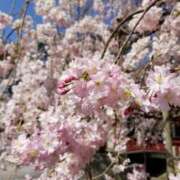 ヒメ日記 2026/03/14 22:56 投稿 みりか 熟女＆人妻＆ぽっちゃり倶楽部