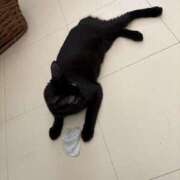 ヒメ日記 2025/11/20 21:03 投稿 みゆう Triple Pink(トリプルピンク)