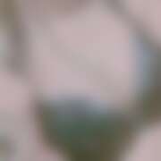 ヒメ日記 2025/12/18 20:54 投稿 みゆう Triple Pink(トリプルピンク)