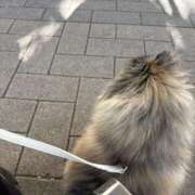 ヒメ日記 2025/12/30 20:41 投稿 みゆう Triple Pink(トリプルピンク)