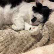 ヒメ日記 2026/01/07 20:58 投稿 みゆう Triple Pink(トリプルピンク)