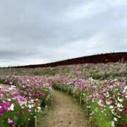 ヒメ日記 2026/02/18 20:41 投稿 みゆう Triple Pink(トリプルピンク)