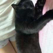 ヒメ日記 2026/02/22 20:14 投稿 みゆう Triple Pink(トリプルピンク)