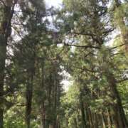 ヒメ日記 2026/03/02 19:58 投稿 みゆう Triple Pink(トリプルピンク)