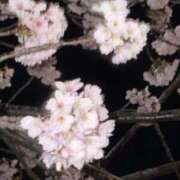 ヒメ日記 2026/03/09 20:28 投稿 みゆう Triple Pink(トリプルピンク)