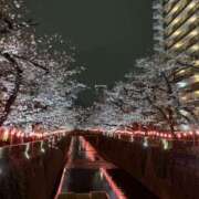 ヒメ日記 2026/03/28 20:34 投稿 みゆう Triple Pink(トリプルピンク)