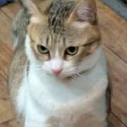 ヒメ日記 2025/11/10 13:18 投稿 河田なお 素人専門キラキラ学園