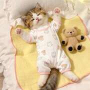 ヒメ日記 2025/12/06 11:03 投稿 河田なお 素人専門キラキラ学園