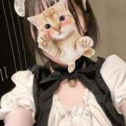 ヒメ日記 2026/02/05 12:12 投稿 河田なお 素人専門キラキラ学園