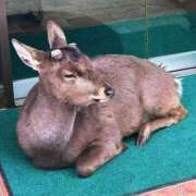 ヒメ日記 2026/02/23 11:55 投稿 河田なお 素人専門キラキラ学園