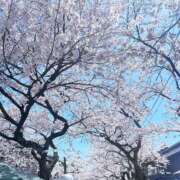 ヒメ日記 2026/04/14 12:35 投稿 河田なお 素人専門キラキラ学園