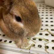 ヒメ日記 2025/10/24 23:33 投稿 星形ぴの【新入生】 素人専門キラキラ学園