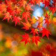 ヒメ日記 2025/10/31 17:03 投稿 山口ゆりこ 素人専門キラキラ学園