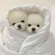 ヒメ日記 2025/10/26 02:48 投稿 桜ヶ丘ひなな【優等生】 素人専門キラキラ学園