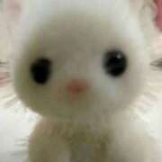 ヒメ日記 2025/11/21 17:18 投稿 桜ヶ丘ひなな【優等生】 素人専門キラキラ学園