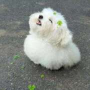 桜ヶ丘ひなな【優等生】 お礼😘 素人専門キラキラ学園