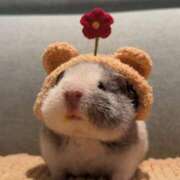 桜ヶ丘ひなな【優等生】 24:00まで居るよ！ 素人専門キラキラ学園