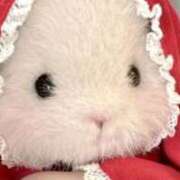 ヒメ日記 2026/01/03 12:33 投稿 桜ヶ丘ひなな【優等生】 素人専門キラキラ学園