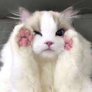 ヒメ日記 2026/01/28 12:33 投稿 桜ヶ丘ひなな【優等生】 素人専門キラキラ学園