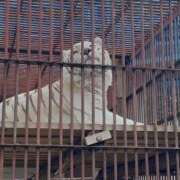 ヒメ日記 2026/02/27 10:15 投稿 桜ヶ丘ひなな【優等生】 素人専門キラキラ学園