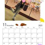 ヒメ日記 2025/11/19 23:18 投稿 月宮せいら 素人専門キラキラ学園