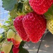 ヒメ日記 2026/03/20 10:15 投稿 月宮せいら 素人専門キラキラ学園